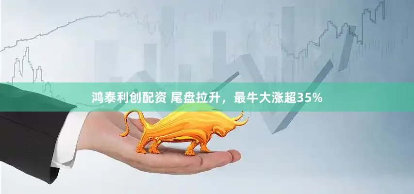 鸿泰利创配资 尾盘拉升，最牛大涨超35%