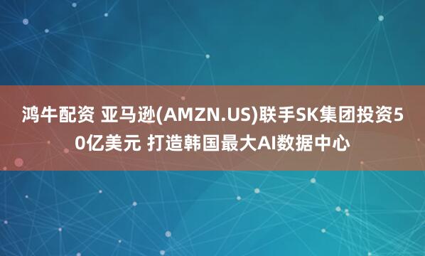 鸿牛配资 亚马逊(AMZN.US)联手SK集团投资50亿美元 打造韩国最大AI数据中心
