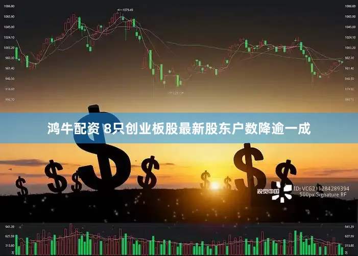 鸿牛配资 8只创业板股最新股东户数降逾一成